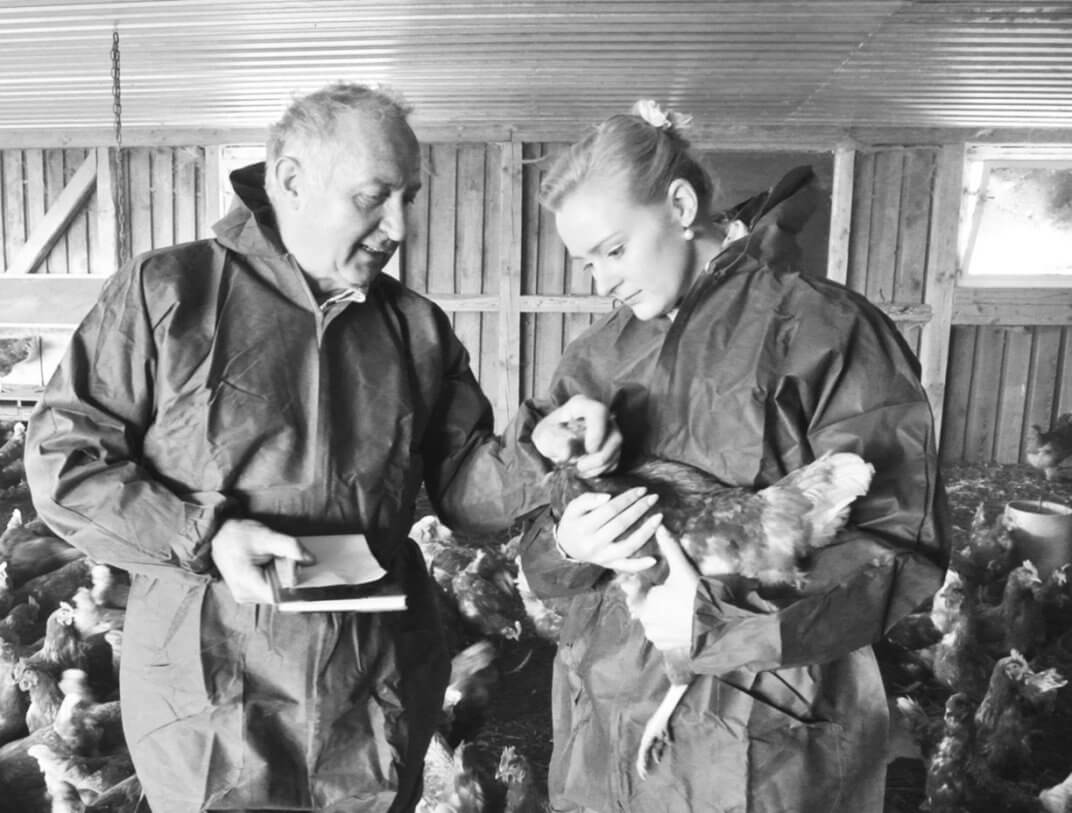 Beim Hähnchen-Züchter in Niedersachsen